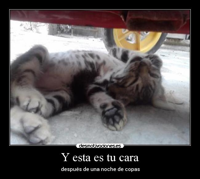 Y esta es tu cara - después de una noche de copas