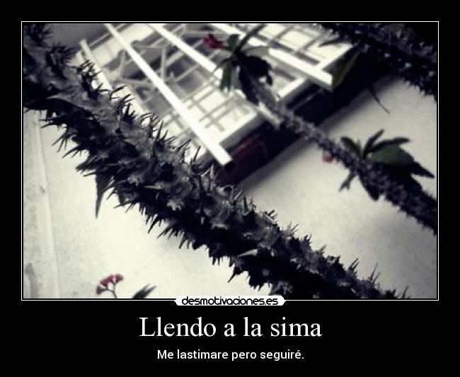 Llendo a la sima - Me lastimare pero seguiré.