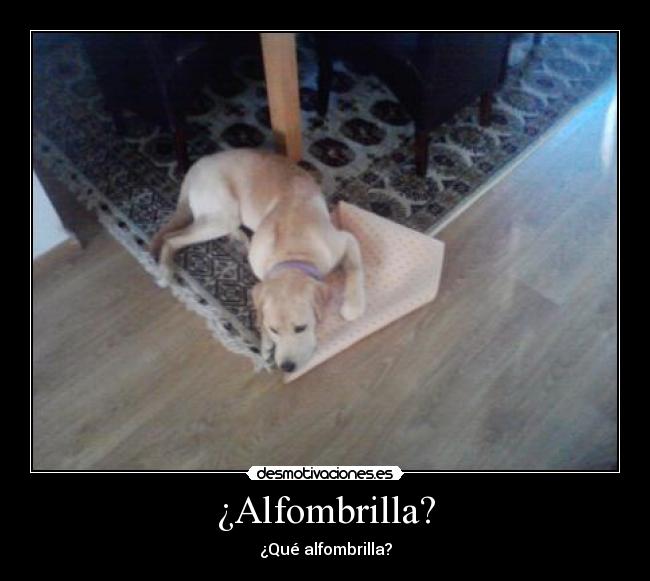 ¿Alfombrilla? - ¿Qué alfombrilla?