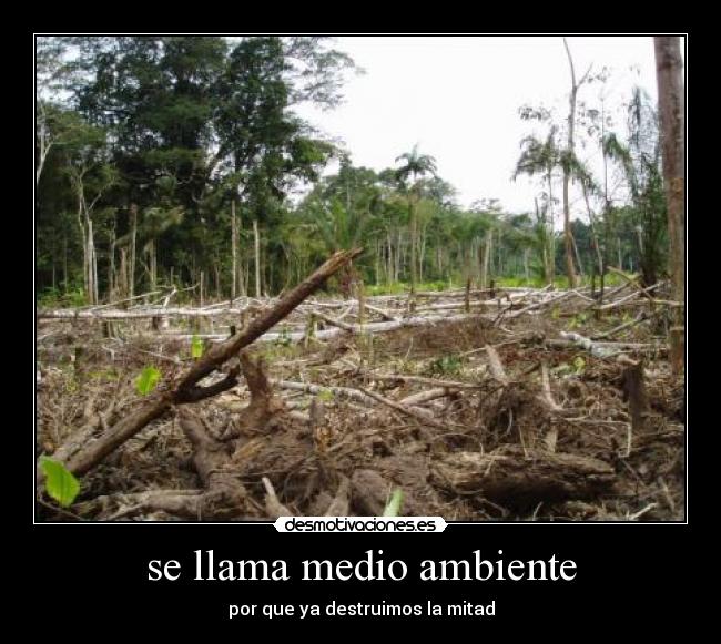 se llama medio ambiente -