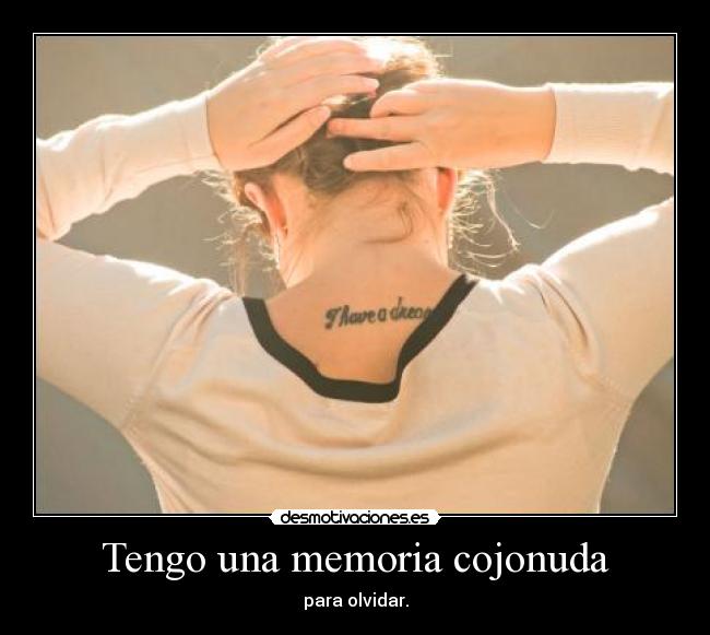 carteles tengo una memoria cojonuda desmotivaciones