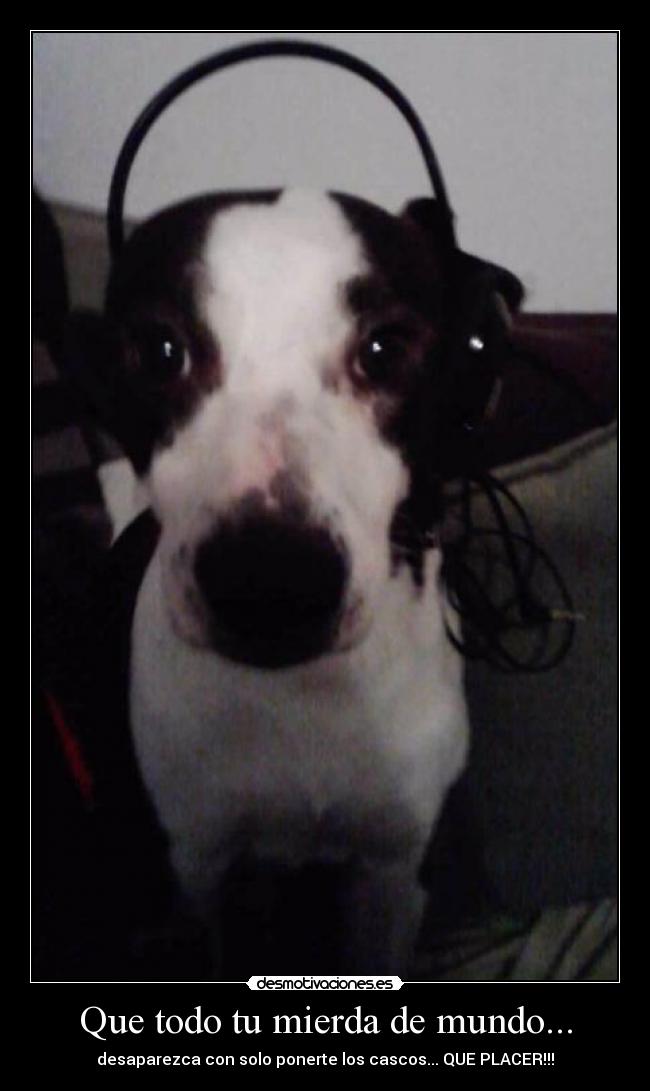 Que todo tu mierda de mundo... - desaparezca con solo ponerte los cascos... QUE PLACER!!!