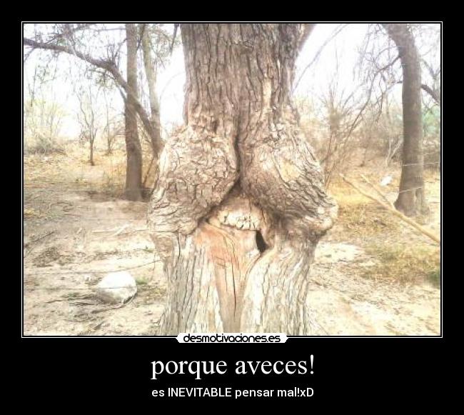 porque aveces! - es INEVITABLE pensar mal!xD