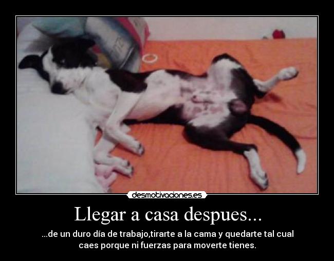 Llegar a casa despues... - ...de un duro día de trabajo,tirarte a la cama y quedarte tal cual
caes porque ni fuerzas para moverte tienes.