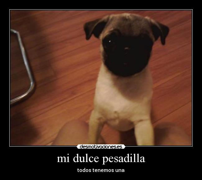 mi dulce pesadilla - todos tenemos una