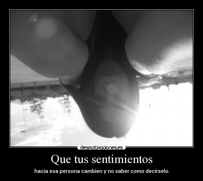 carteles sentimientos desamor desmotivaciones