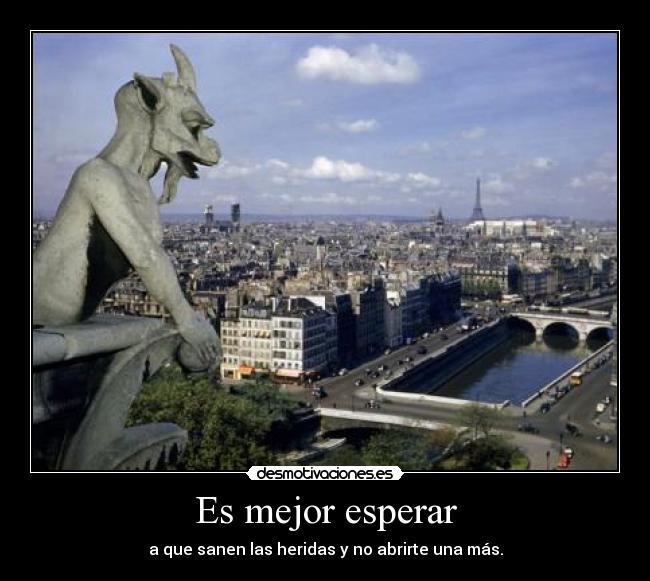 Es mejor esperar - a que sanen las heridas y no abrirte una más.