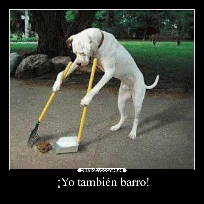 carteles perro barriendo desmotivaciones