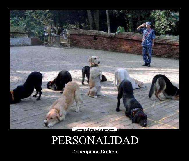PERSONALIDAD -