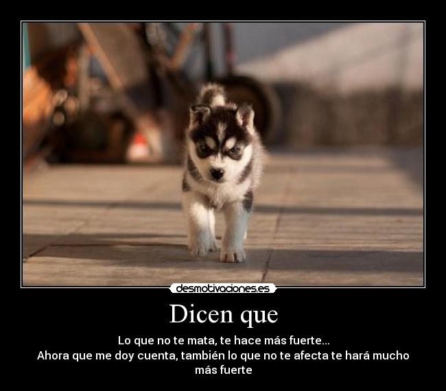 Dicen que - 