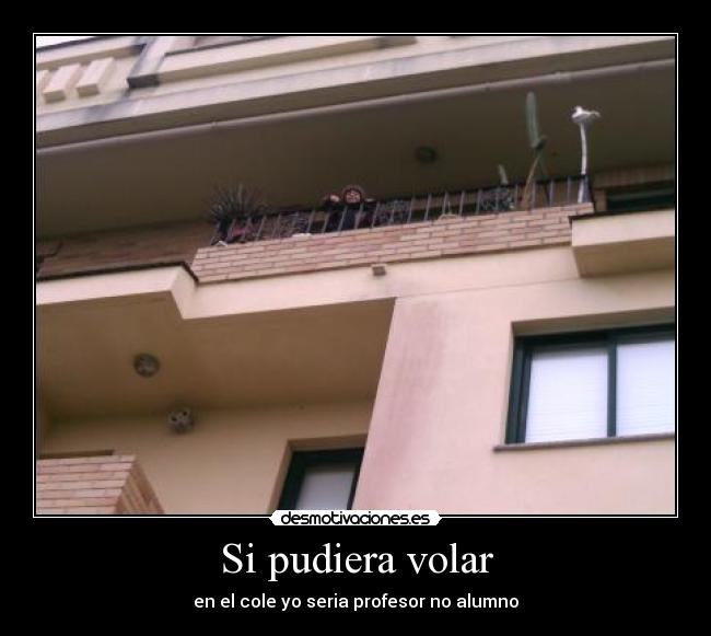 Si pudiera volar - en el cole yo seria profesor no alumno