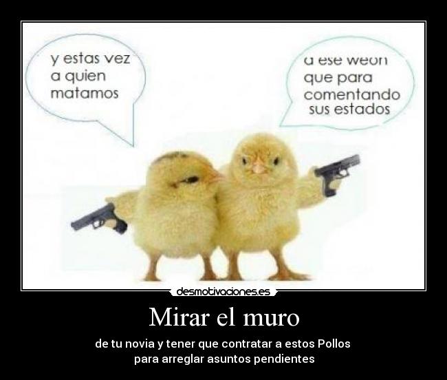 Mirar el muro - de tu novia y tener que contratar a estos Pollos
para arreglar asuntos pendientes
