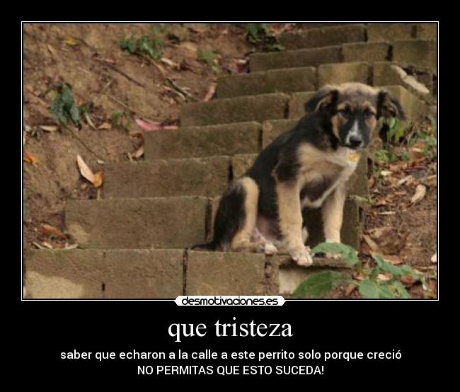 que tristeza -