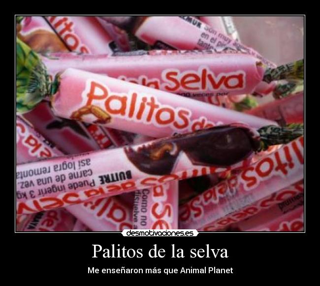 Palitos de la selva - 