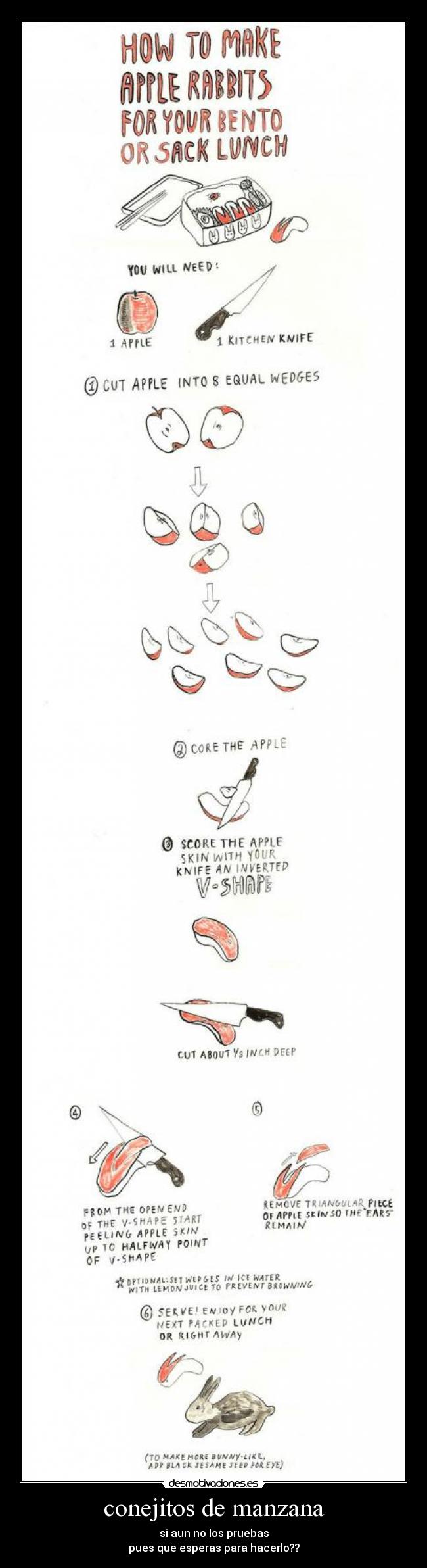 conejitos de manzana - si aun no los pruebas
pues que esperas para hacerlo??