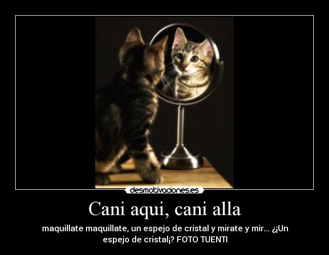 Cani aqui, cani alla - 