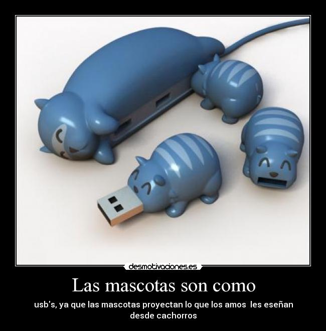 Las mascotas son como - usbs, ya que las mascotas proyectan lo que los amos les eseñan desde cachorros