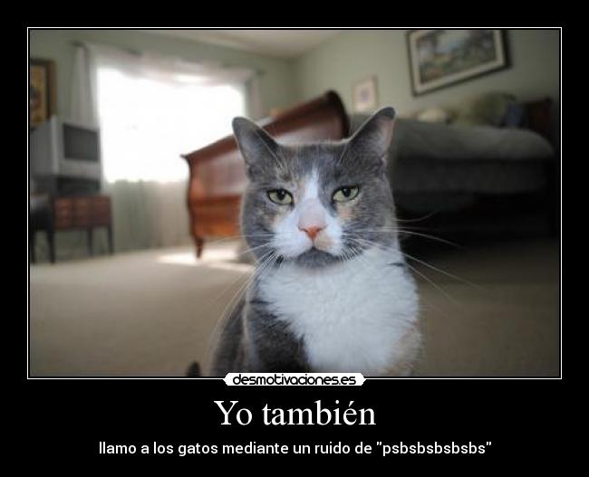 Yo también - llamo a los gatos mediante un ruido de psbsbsbsbsbs