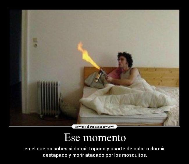 Ese momento - en el que no sabes si dormir tapado y asarte de calor o dormir
destapado y morir atacado por los mosquitos.