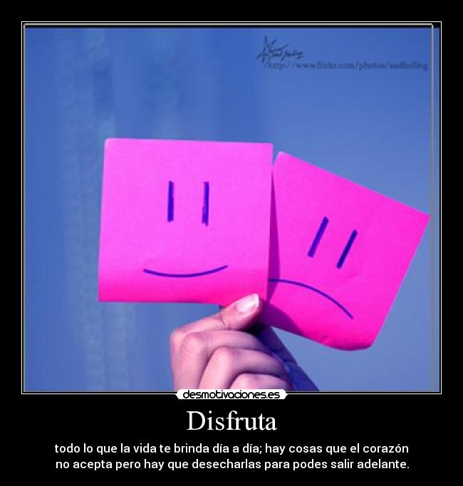 Disfruta -