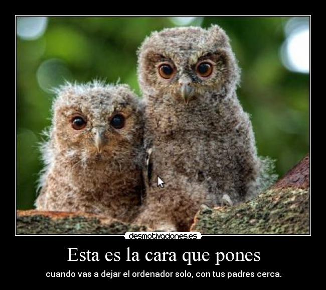 Esta es la cara que pones - cuando vas a dejar el ordenador solo, con tus padres cerca.