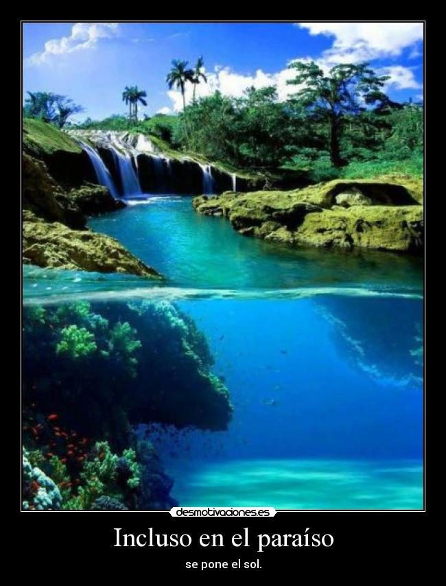 carteles payphone clanmefockoamonster truluru banana desmotivaciones