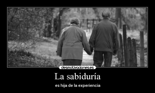 carteles sabiduria desmotivaciones