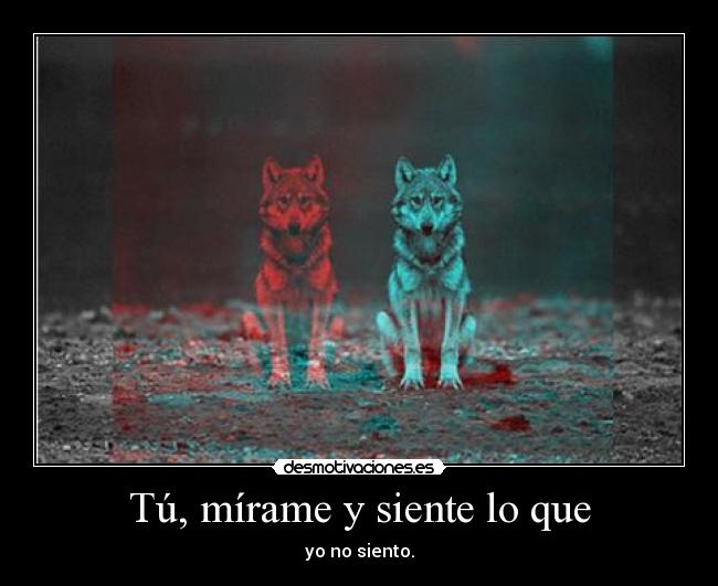 Tú, mírame y siente lo que - yo no siento.