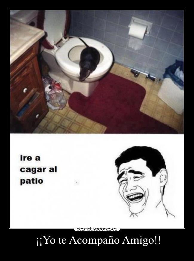 ¡¡Yo te Acompaño Amigo!! -