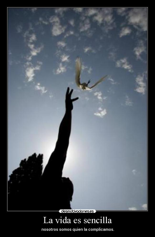 La vida es sencilla - 