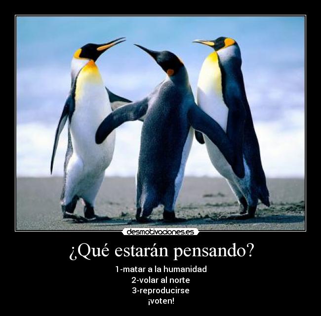 ¿Qué estarán pensando? -