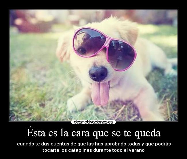 Ésta es la cara que se te queda - cuando te das cuentas de que las has aprobado todas y que podrás
tocarte los cataplines durante todo el verano