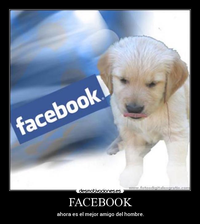 FACEBOOK - ahora es el mejor amigo del hombre.