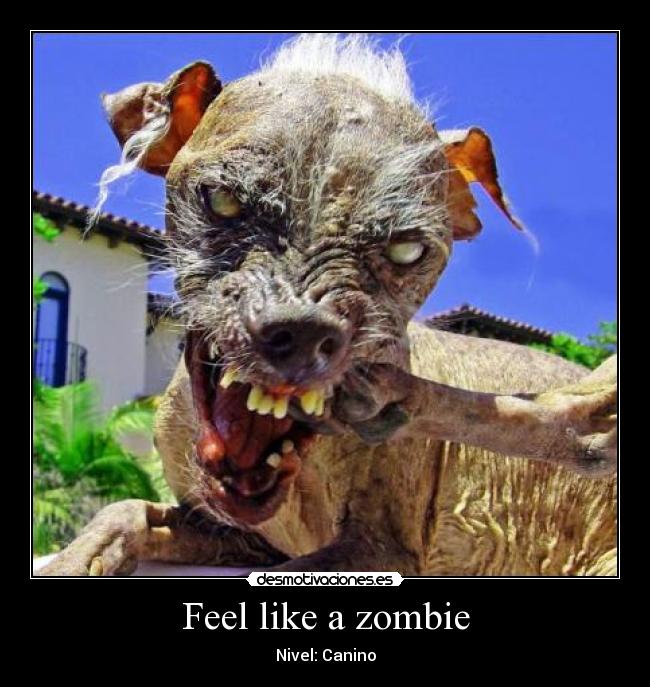 Feel like a zombie - Nivel: Canino