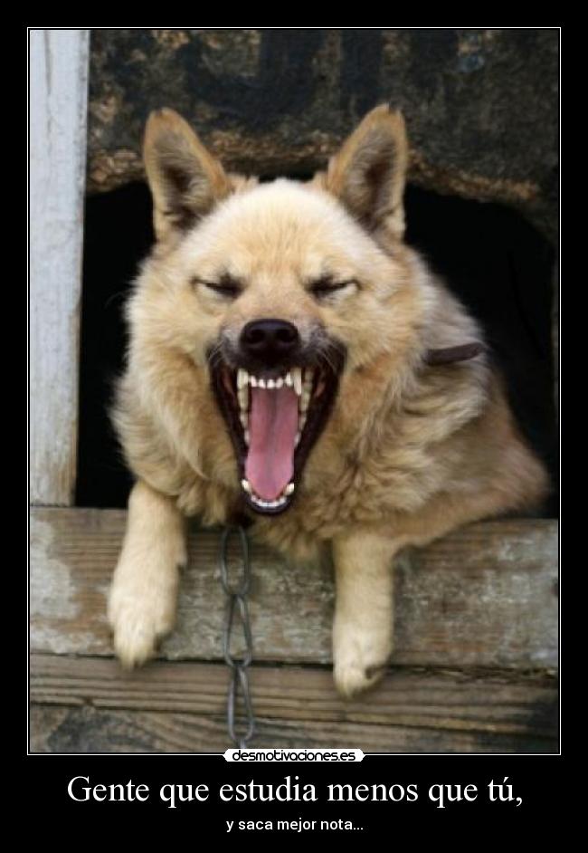 Gente que estudia menos que tú, - y saca mejor nota...