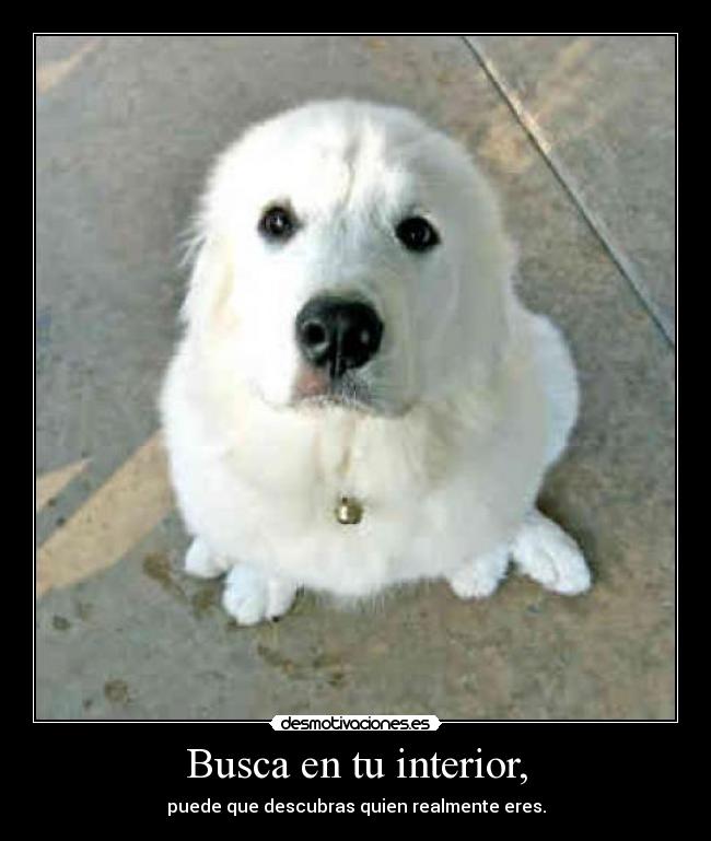 Busca en tu interior, - 