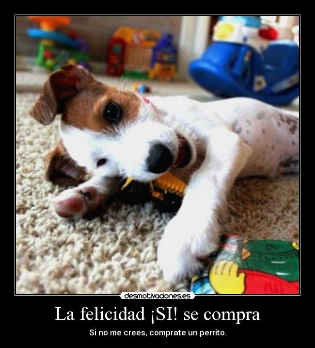 La felicidad ¡SI! se compra - Si no me crees, comprate un perrito.
