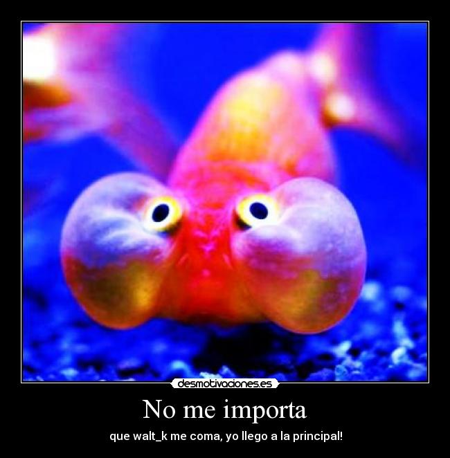 No me importa - que walt_k me coma, yo llego a la principal!