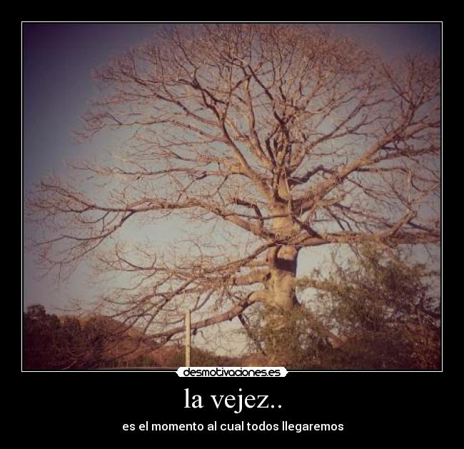 la vejez.. - es el momento al cual todos llegaremos