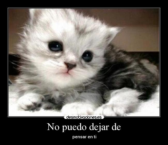 No puedo dejar de - pensar en ti