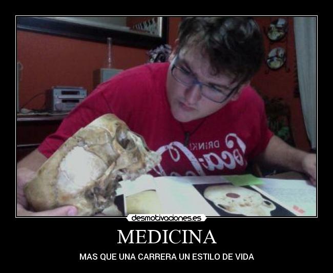 carteles love medicine desmotivaciones