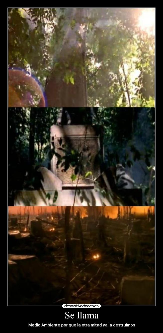 Se llama - Medio Ambiente por que la otra mitad ya la destruimos