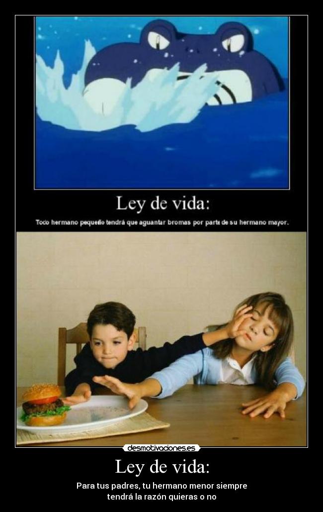Ley de vida: - Para tus padres, tu hermano menor siempre
tendrá la razón quieras o no