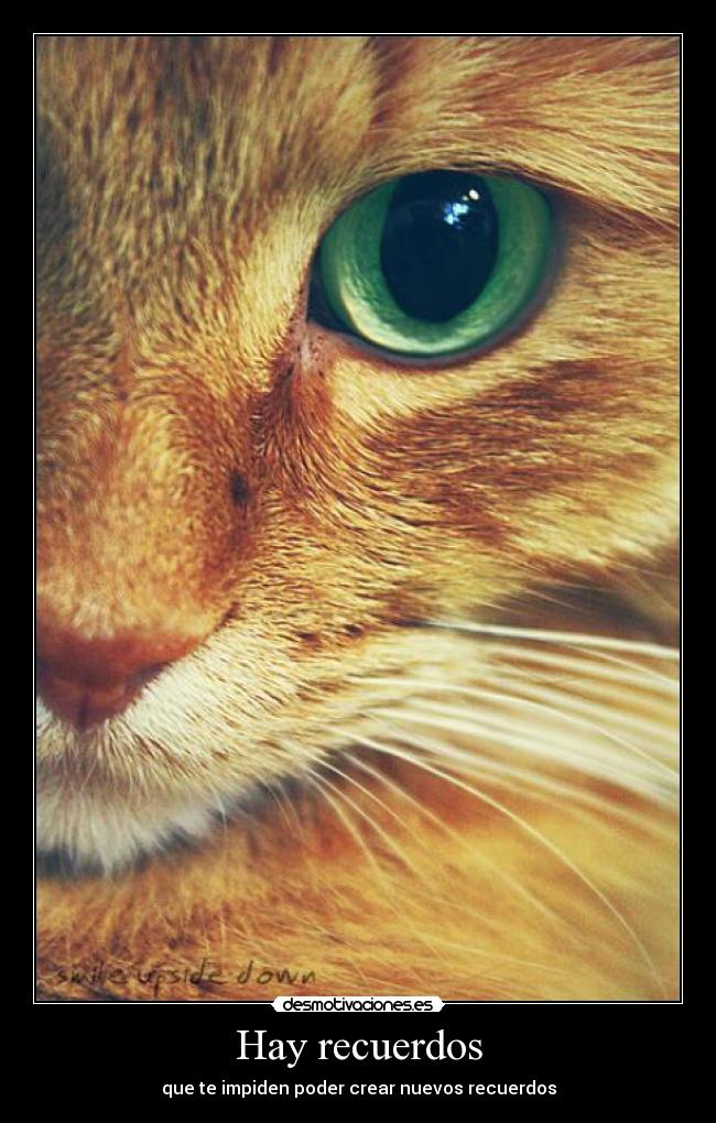 Hay recuerdos - 