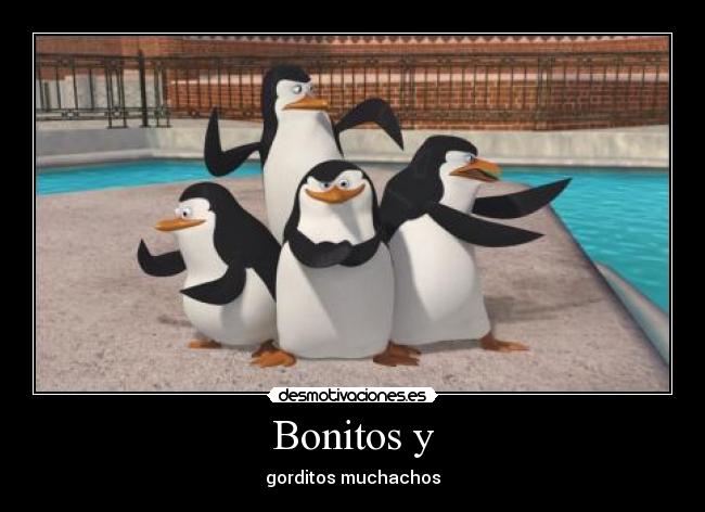 Bonitos y - gorditos muchachos