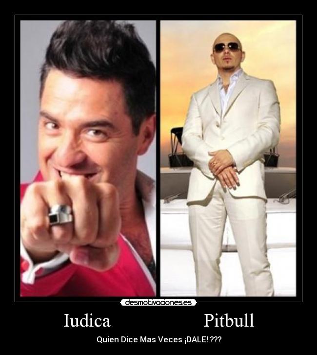 Iudica Pitbull -