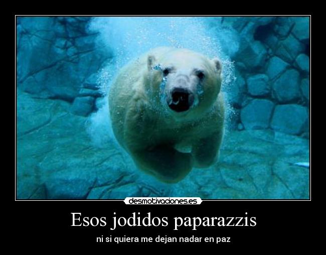 Esos jodidos paparazzis - 