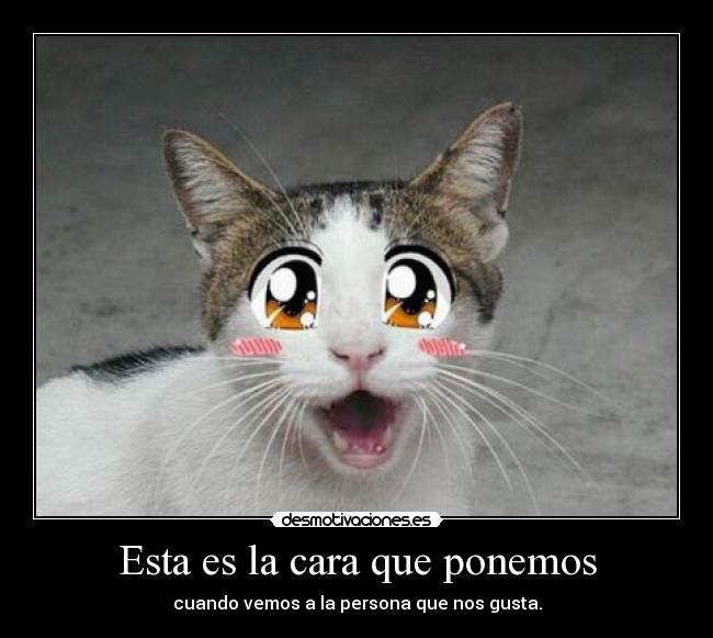 Esta es la cara que ponemos - cuando vemos a la persona que nos gusta.