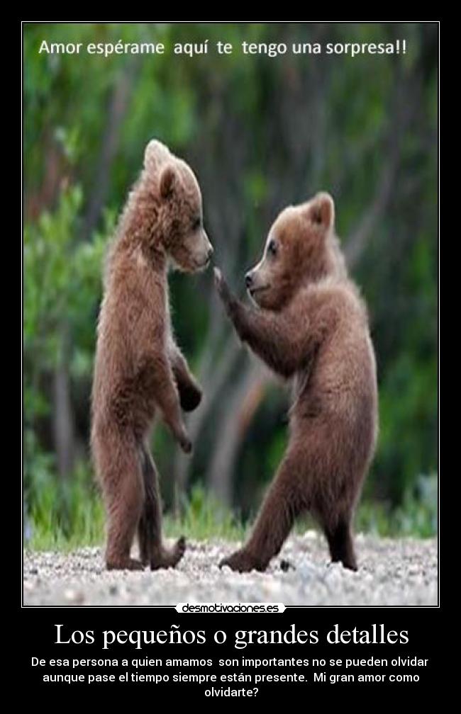Los pequeños o grandes detalles -