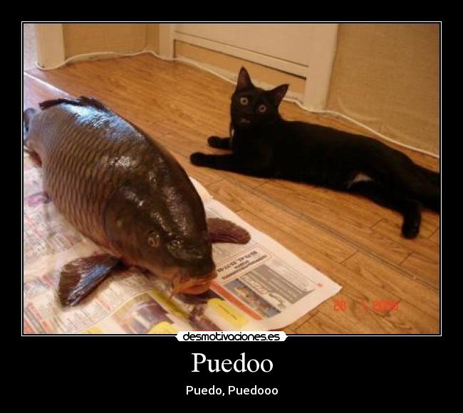 Puedoo - 